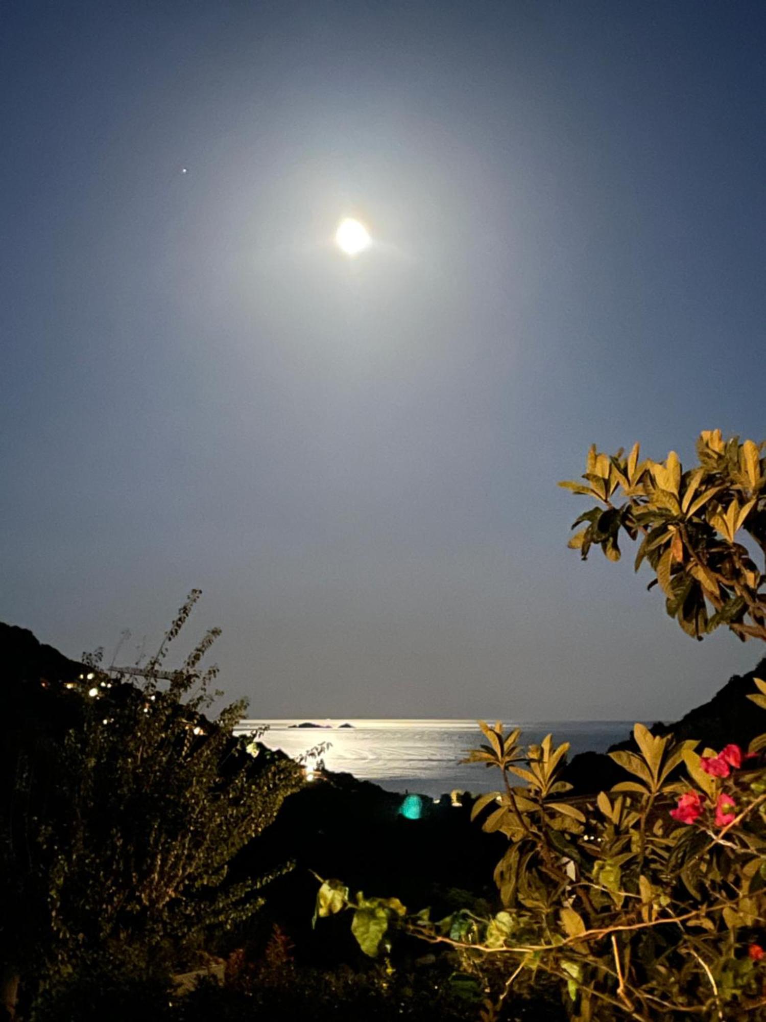 Corsacasa In Palombaggia Sea View Holiday home *